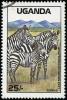 Colnect-2848-824-Zebra-Equus-sp-Lake-Mburo-National-Park.jpg