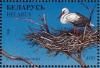 Colnect-1047-772-White-Stork-Ciconia-ciconia.jpg