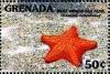 Colnect-4553-302-West-Indian-sea-star.jpg