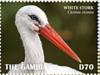Colnect-5726-910-White-Stork-Ciconia-ciconia.jpg