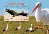 Colnect-5726-911-White-Stork-Ciconia-ciconia.jpg
