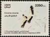 Colnect-5826-020-White-Stork-Ciconia-ciconia.jpg