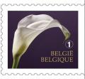 Colnect-1777-866-Mourning-Stamp---Right-imperforate.jpg