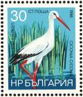 Colnect-1976-614-White-Stork-Ciconia-ciconia.jpg