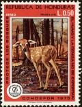 Colnect-4961-817-Forest-Protection---Fawn.jpg