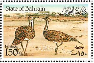 Colnect-1463-296-Houbara-Bustard-Chlamydotis-undulata.jpg