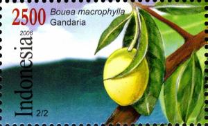 Colnect-1586-815-Bandung-06-National-Stamp-Exhibition--Bouea-macrophylla.jpg