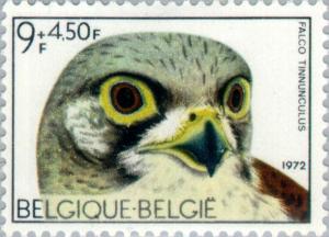 Colnect-185-180-Common-Kestrel-Falco-tinnunculus.jpg