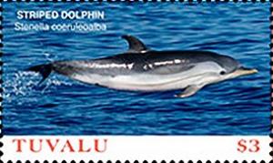 Colnect-5726-889-Striped-Dolphin.jpg
