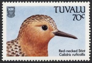 Colnect-850-697-Red-necked-Stint-Calidris-ruficollis.jpg