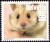 Colnect-5333-026-Golden-Hamster-Mesocricetus-auratus.jpg