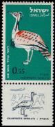 Colnect-2249-431-Houbara-Bustard-Chlamydotis-undulata.jpg