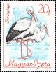 Colnect-5281-828-White-Stork-Ciconia-ciconia.jpg