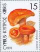 Colnect-181-249-Lactarius-deliciosus-Delicious-Milky-Cap-Mushroom.jpg