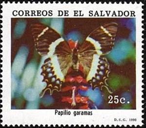 Colnect-2713-146-Magnificent-Swallowtail-Papilio-garamas.jpg