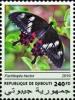 Colnect-5732-508-Crimson-Rose-Swallowtail-Pachliopta-hector.jpg