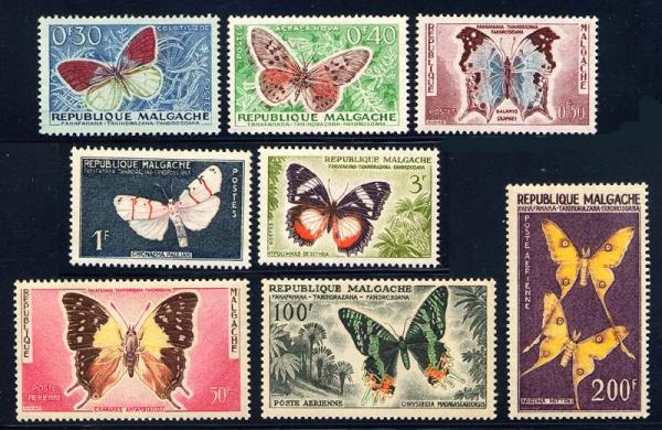 Skap-malagasy_01_bfly.jpg
