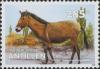 Colnect-1016-617-Mule-Equus-asinus-x-Equus-caballus.jpg
