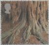 Colnect-123-403-Tree-Roots--Yews-for-the-Millennium--Project.jpg