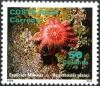 Colnect-2198-513-Crown-of-thorns-Starfish-Acanthaster-planci.jpg