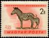Colnect-813-951-Plains-Zebra-Equus-quagga.jpg