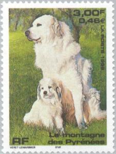 Colnect-146-719-Great-Pyrenees-Dog-Canis-lupus-familiaris.jpg