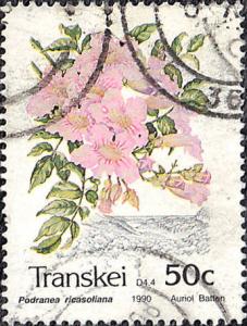 Colnect-2858-870-Flowers-Podranea-ricasoliana.jpg