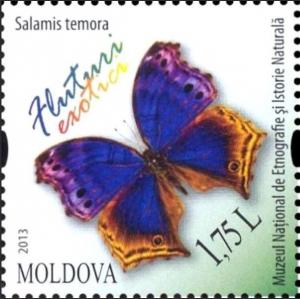 Colnect-2809-092-Blue-Salamis-Butterfly-Salamis-temora.jpg