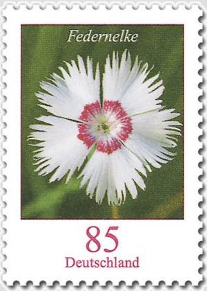 Colnect-3209-381-Flowers---Dianthus-plumarius.jpg