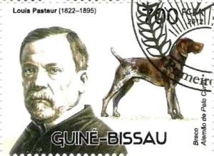 Colnect-3237-716-German-Hound-Canis-lupus-familiaris-Louis-Pasteur.jpg