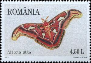 Colnect-4286-264-Atlas-Moth-Attacus-atlas.jpg