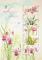 Colnect-6447-827-MyStamps--Flowers-of-Singapore.jpg