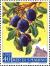 Colnect-481-572-Plums-Prunus-domestica.jpg