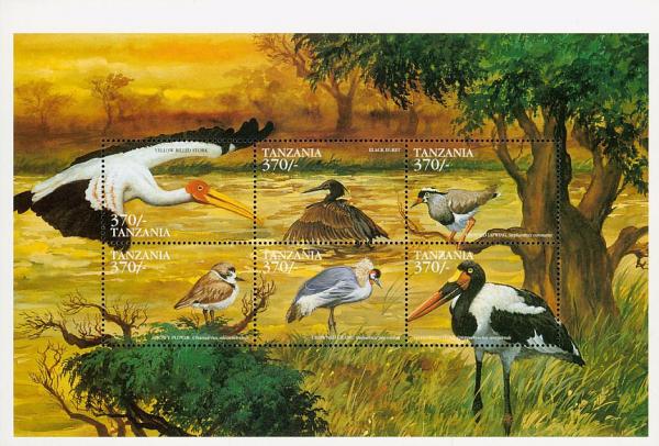 Colnect-3746-349-Birds-of-the-world-sheet.jpg