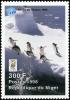 Colnect-5217-125-Penguins-jumping-into-the-sea.jpg