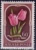 Colnect-597-547-Tulips-Tulipa-gesneriana.jpg