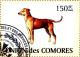Colnect-3257-135-Africanis-Canis-lupus-familiaris.jpg