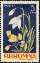 Colnect-4417-918-Galanthus-nivalis-Primula-veris.jpg
