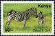 Colnect-5525-462-Plains-Zebra-Equus-quagga.jpg