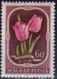Colnect-597-547-Tulips-Tulipa-gesneriana.jpg