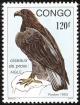 Colnect-868-355-Verreaux--s-Eagle-Aquila-verreauxii.jpg