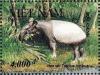 Colnect-1613-148-Asian-Tapir-Tapirus-indicus.jpg