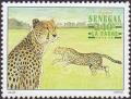 Colnect-2700-420-Cheetah-Acinonyx-jubatus.jpg