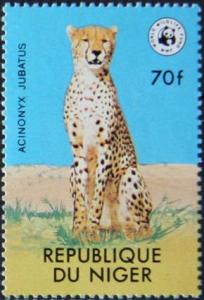 Colnect-2431-253-Cheetah-Acinonyx-jubatus.jpg