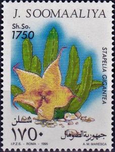 Colnect-4302-390-Stapelia-gigantea.jpg