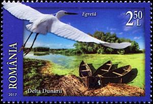 Colnect-5103-649-Little-Egrets-Egretta-garzetta--Danube-Delta-Biosphere.jpg