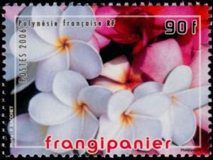 Colnect-5146-712-Perfumed-stamp---The-frangipani-tree.jpg