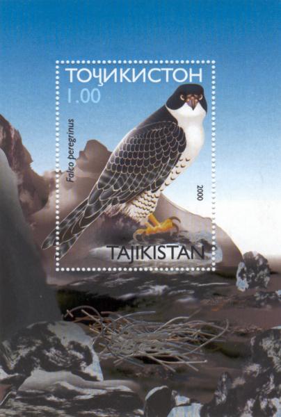 Falco_peregrinus_tajikistan_stamp.jpg