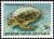 Colnect-3121-234-Australian-Flatback-Turtle-Chelonia-depressa.jpg