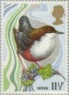 Colnect-122-155-White-throated-Dipper-Cinclus-cinclus.jpg